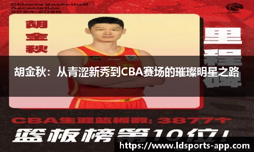 LD乐动官网